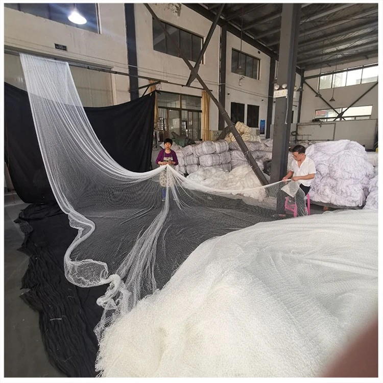 product-750-750 product-750-750